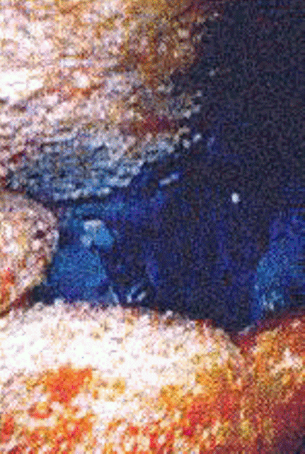 Thumb from japan02.gif